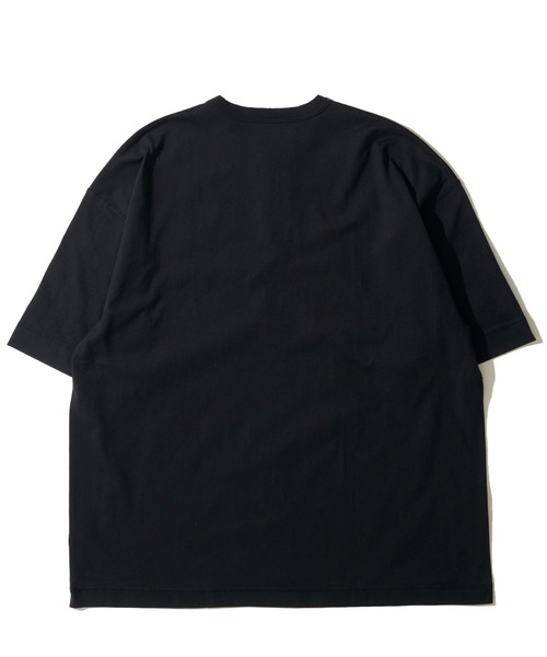Healthknit（ヘルスニット） tシャツ 「Healthknit」Henleyneck S/S