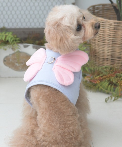 Calulu（カルル） 犬 服 Calulu/なりきり蝶ハーネス/犬具/Sサイズ