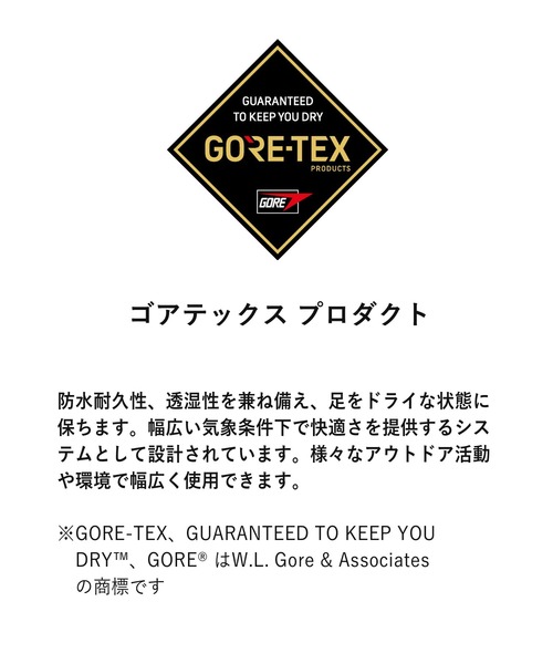 ビジネスシューズ リーガルドレス 37HL ダブルモンク メンズの画像
