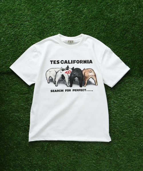 「The Endless Summer」 半袖Tシャツ X-LARGE サンドベージュ メンズ_画像2