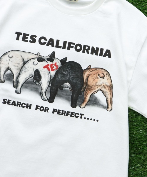 「The Endless Summer」 半袖Tシャツ X-LARGE サンドベージュ メンズ_画像3