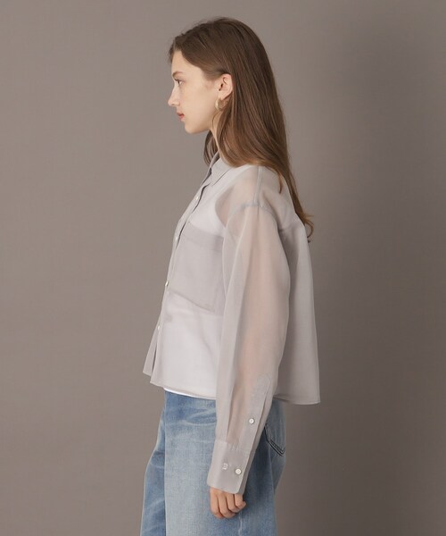 ブラウス シャツ シアークロップドシャツ レディース DRESSTERIOR ブラウス シャツ シアークロップドシャツ