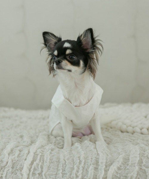 犬 服 くるみボタンワンピース・ロンパース (セット) : ZOZOTOWN Yahoo