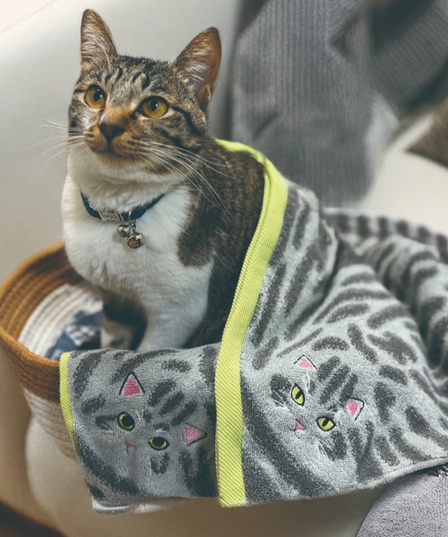 MILLION CARATS（ミリオンカラッツ） ハンカチ 「今治タオル」ニャンコ