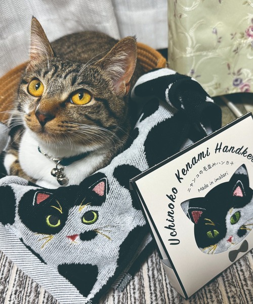 MILLION CARATS（ミリオンカラッツ） ハンカチ 「今治タオル」ニャンコ