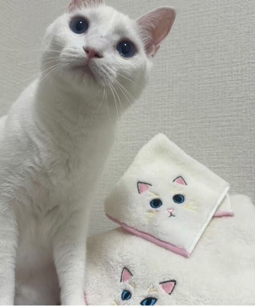 ハンカチ 「今治タオル」ニャンコの毛並みをそのまま表現した、ふわふわ刺繍入り今治タオルハンカチ。猫好き必見の愛らしいデザインと、職人技で仕上げた… | MILLION CARATS | 29