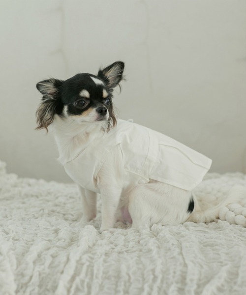 犬 服 くるみボタンワンピース・ロンパース : ZOZOTOWN Yahoo!店