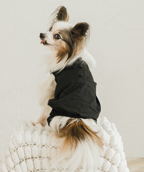 犬 服 くるみボタンワンピース・ロンパース : ZOZOTOWN Yahoo!店