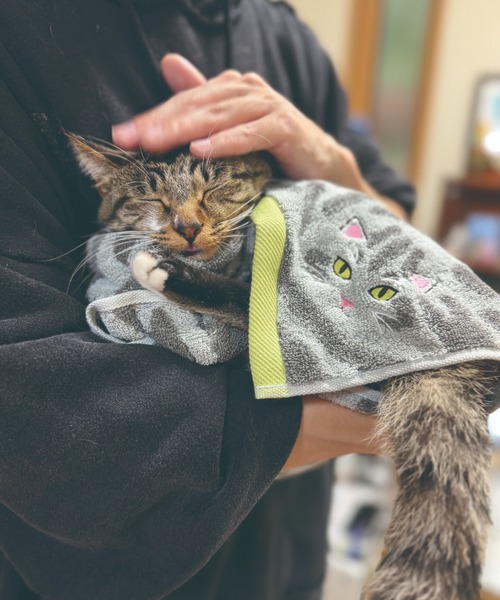 タオル 「今治タオル」ニャンコの毛並みを今治タオルで再現！猫種ごとの毛並みや表情を刺繍で丁寧に表現した贅沢デザイン。ギフトにも最適な猫好き必見のロング | MILLION CARATS | 02