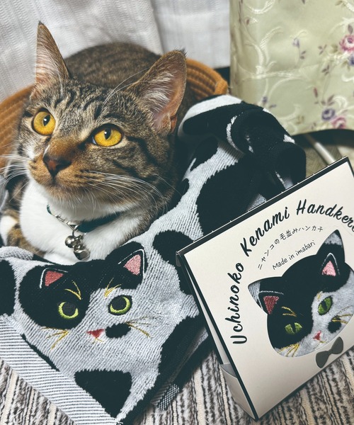 タオル 「今治タオル」ニャンコの毛並みを今治タオルで再現！猫種ごとの毛並みや表情を刺繍で丁寧に表現した贅沢デザイン。ギフトにも最適な猫好き必見のロング | MILLION CARATS | 20