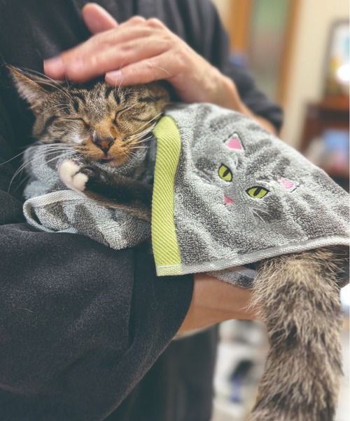 タオル 「今治タオル」ニャンコの毛並みを今治タオルで再現！猫種ごとの毛並みや表情を刺繍で丁寧に表現した贅沢デザイン。ギフトにも最適な猫好き必見のロング | MILLION CARATS | 23