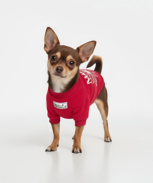 Mardi Mercredi（マルディメクルディ） 犬 服 PET SWEATSHIRT