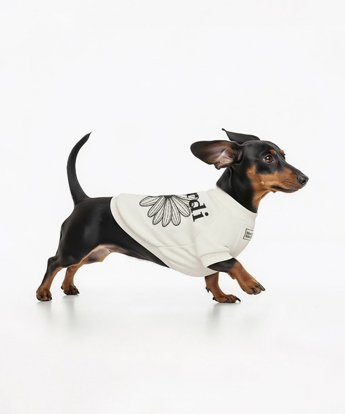Mardi Mercredi（マルディメクルディ） 犬 服 PET SWEATSHIRT
