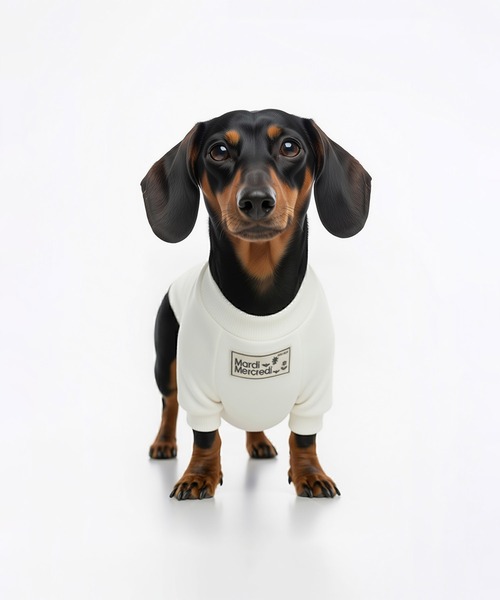 Mardi Mercredi（マルディメクルディ） 犬 服 PET SWEATSHIRT