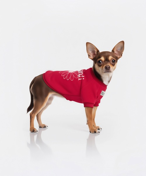 Mardi Mercredi（マルディメクルディ） 犬 服 PET SWEATSHIRT
