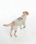 犬 服 PET SWEATSHIRT FLOW...の詳細画像5