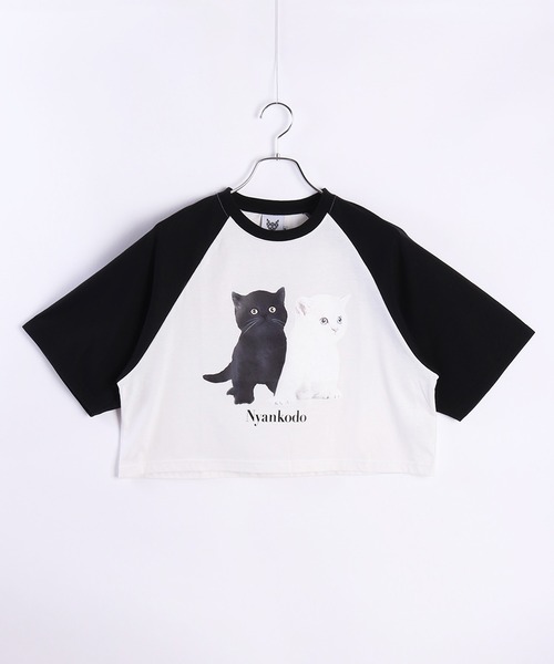 WESTSEA（ウエストシー） tシャツ 神保町にゃんこ堂 子猫プリント