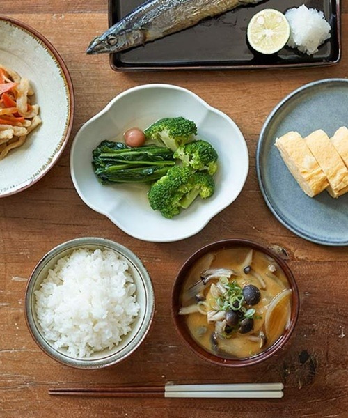 TODAY'S SPECIAL（トゥデイズスペシャル） 食器 「向山窯×TODAY'S
