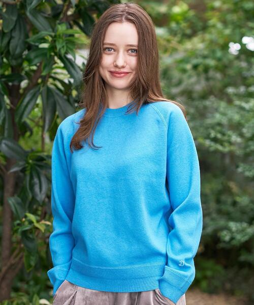 DRESSTERRIOR 青 スウェット コットン混カシミヤ　M（Sに近い） DRESSTERIOR（ドレステリア） ニット セーター 「洗える/7色展開