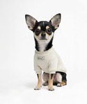 犬 服 PET SWEATSHIRT FLOW...の詳細画像1