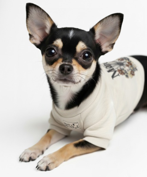 Mardi Mercredi（マルディメクルディ） 犬 服 PET SWEATSHIRT