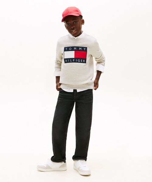 りりり　トミートレーナー トミー ヒルフィガー TOMMY HILFIGER 【オンライン限定】裏毛スモール