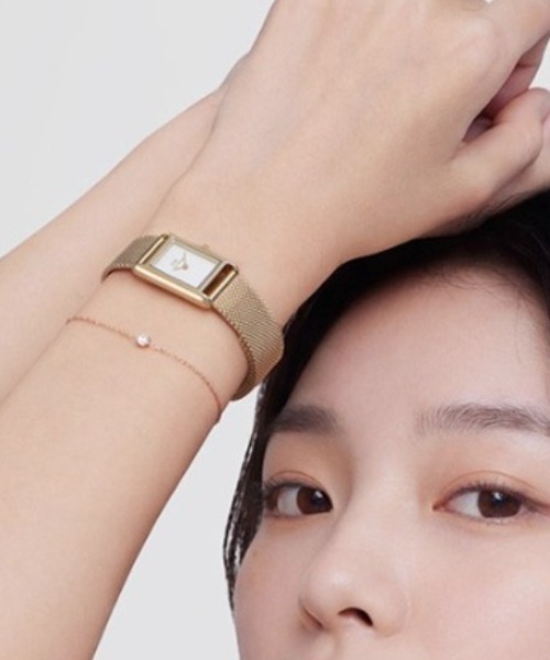 ダニエルウェリントン Daniel Wellington（ダニエルウェリントン） 腕時計 Bound Mini17x25
