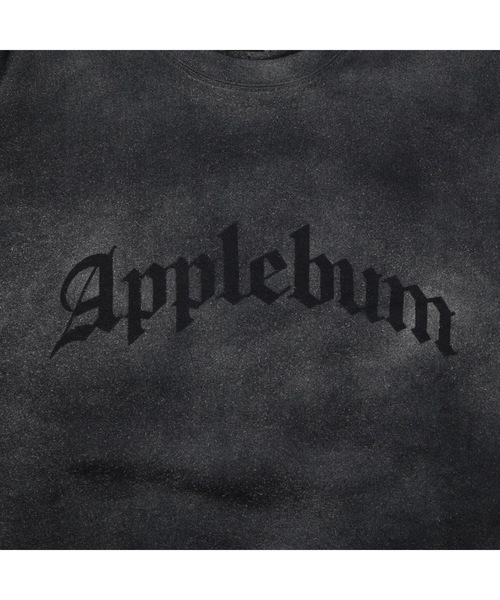 APPLEBUM トレーナー スウェット Airbrush Crew Sweat メンズ 