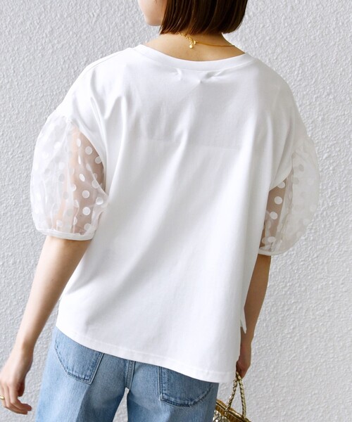 tシャツ Tシャツ TORRAZZO DONNA:「手洗い可能」ドット シアー 