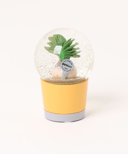 DULTON（ダルトン） インテリア PLANTS WATER GLOBE/スノードーム