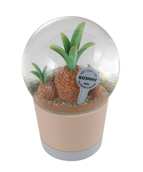 DULTON（ダルトン） インテリア PLANTS WATER GLOBE/スノードーム