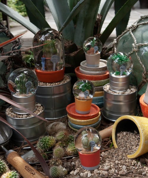 DULTON（ダルトン） インテリア PLANTS WATER GLOBE/スノードーム