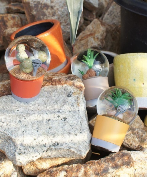 DULTON（ダルトン） インテリア PLANTS WATER GLOBE/スノードーム
