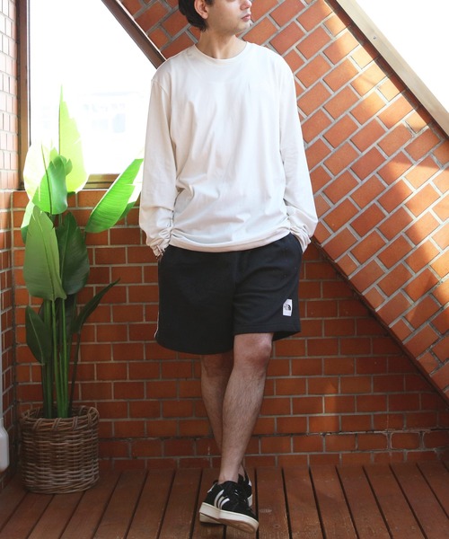 THE NORTH FACE ショートパンツ ショートパンツ バックロゴプリント M GRAPHIC SHORT LIGHT EU