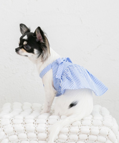 犬 服 リボンペプラムブラウス (セット) : ZOZOTOWN Yahoo!店 - 通販