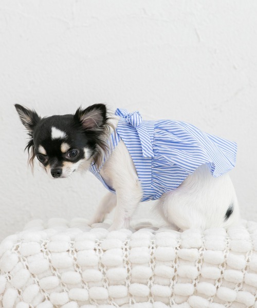 犬 服 リボンペプラムブラウス (セット) : ZOZOTOWN Yahoo!店 - 通販