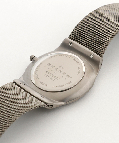 SKAGEN（スカーゲン） 腕時計 腕時計 メンズ アナログ ステンレス
