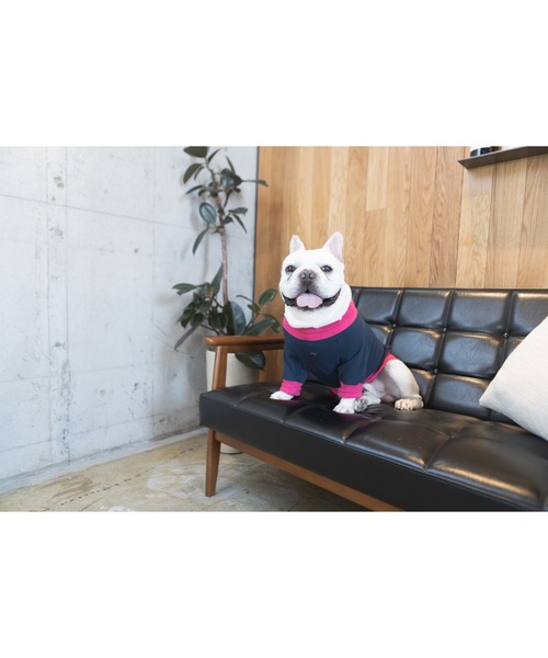 犬 服 「.cinq」.cinqバイカラースウェット（イエロー・グレー）(MA)の画像