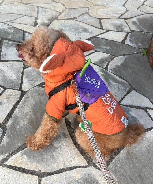 DOD（ディオーオーディー） 犬 服 「DOD」「ドッググッズ」ニンジン