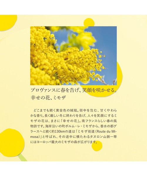 L'OCCITANE（ロクシタン） ハンドクリーム 「季節限定品」ミモザ