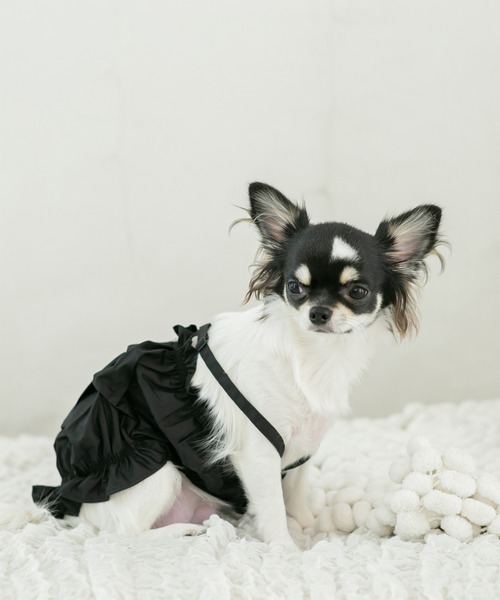 犬 服 デザインスリーブオフショルブラウス (セット) : ZOZOTOWN Yahoo