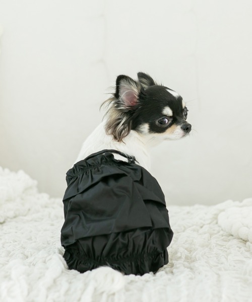 わんこ服ハンドメイド　ちょこっとお出かけブラウス♪Mサイズ わんこ服ハンドメイド ちょこっとお出かけブラウス♪Mサイズ