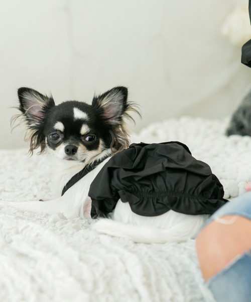 犬 服 デザインスリーブオフショルブラウス (セット) : ZOZOTOWN Yahoo