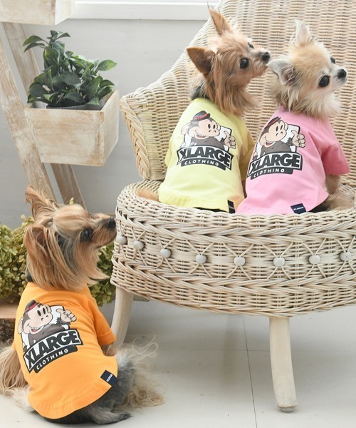 新品、犬用お洋服XS XLARGE（エクストラ ラージ） 犬 服 XLARGE/キースネオンT : ZOZOTOWN
