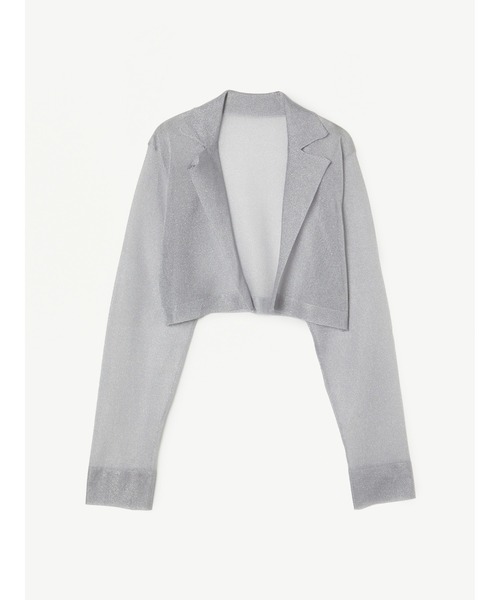 EIMY ISTOIRE（エイミーイストワール） ニット セーター シアーニット