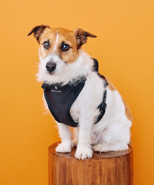  peak ドックウェア snow peak（スノーピーク） 犬 服 Snow Peak / Dog Harness ハーネス