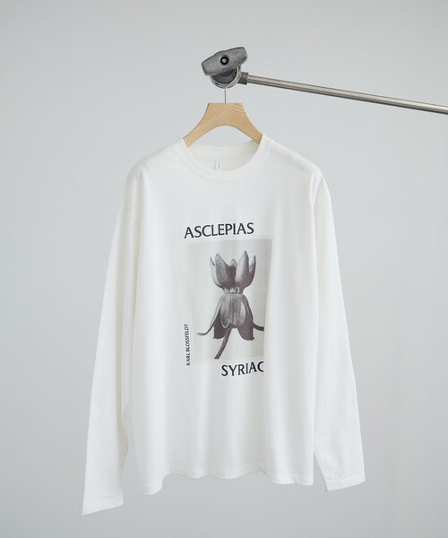 SALON adam et rope'（サロン アダム エ ロペ） tシャツ 「KARL