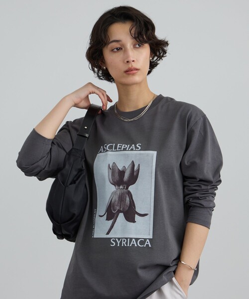 SALON adam et rope'（サロン アダム エ ロペ） tシャツ 「KARL