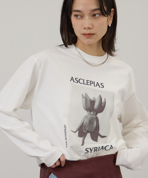 SALON adam et rope'（サロン アダム エ ロペ） tシャツ 「KARL