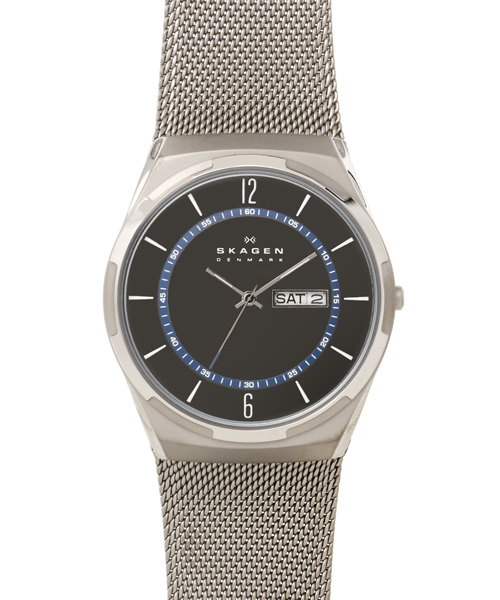 SKAGEN（スカーゲン） 腕時計 腕時計 メンズ アナログ ステンレス 